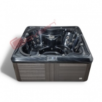 Bồn tắm SPA Govern SPA 006